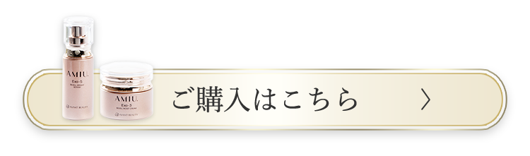 ご購入はこちら